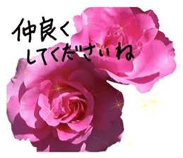 Add flowers to hand-written gentle words sticker #14091069