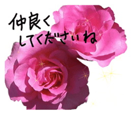 Add flowers to hand-written gentle words sticker #14091069