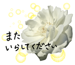 Add flowers to hand-written gentle words sticker #14091070