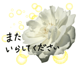 Add flowers to hand-written gentle words sticker #14091070