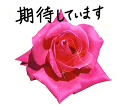 Add flowers to hand-written gentle words sticker #14091072