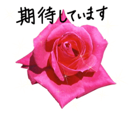 Add flowers to hand-written gentle words sticker #14091072