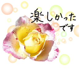 Add flowers to hand-written gentle words sticker #14091074