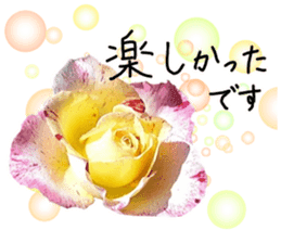 Add flowers to hand-written gentle words sticker #14091074