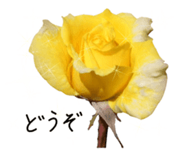 Add flowers to hand-written gentle words sticker #14091075