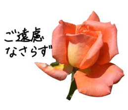 Add flowers to hand-written gentle words sticker #14091076