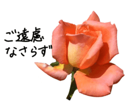 Add flowers to hand-written gentle words sticker #14091076