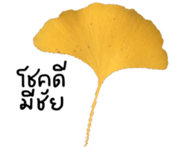 Kay and May sticker #14091828