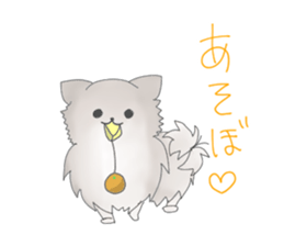 Pomeranians sticker sticker #14092903