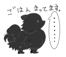 Pomeranians sticker sticker #14092904