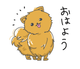 Pomeranians sticker sticker #14092905