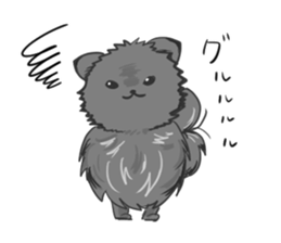 Pomeranians sticker sticker #14092907