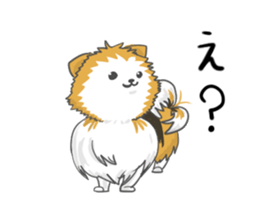Pomeranians sticker sticker #14092909