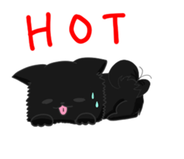 Pomeranians sticker sticker #14092910