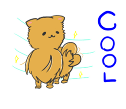 Pomeranians sticker sticker #14092911