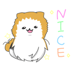 Pomeranians sticker sticker #14092913