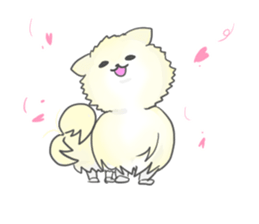Pomeranians sticker sticker #14092914