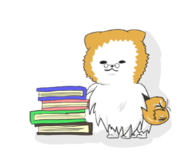 Pomeranians sticker sticker #14092928