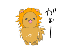 Pomeranians sticker sticker #14092934