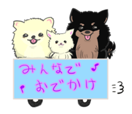 Pomeranians sticker sticker #14092941