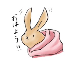 Parka polar bear and rabbit sticker #14093079