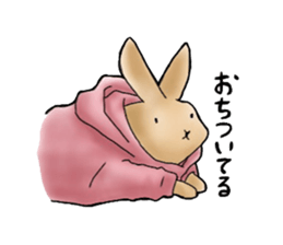 Parka polar bear and rabbit sticker #14093093