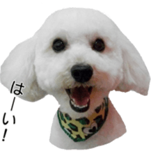 Lovely dogs' stickers sticker #14093406