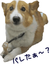 Lovely dogs' stickers sticker #14093408
