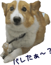 Lovely dogs' stickers sticker #14093408