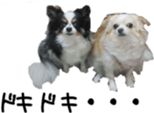 Lovely dogs' stickers sticker #14093409