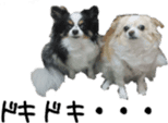 Lovely dogs' stickers sticker #14093409