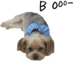 Lovely dogs' stickers sticker #14093410