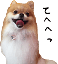 Lovely dogs' stickers sticker #14093412