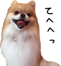 Lovely dogs' stickers sticker #14093412