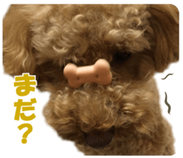 Everyday MARU sticker #14093635