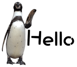 Penguin's time sticker sticker #14093998