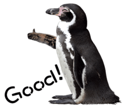 Penguin's time sticker sticker #14093999