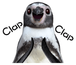 Penguin's time sticker sticker #14094001