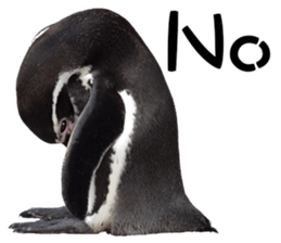 Penguin's time sticker sticker #14094003