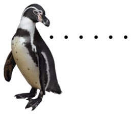 Penguin's time sticker sticker #14094004