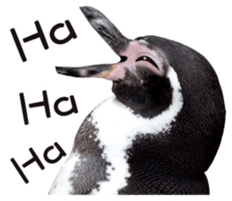 Penguin's time sticker sticker #14094006