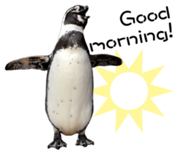 Penguin's time sticker sticker #14094007