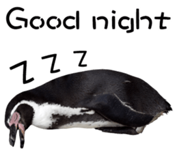 Penguin's time sticker sticker #14094008