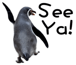 Penguin's time sticker sticker #14094009