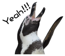 Penguin's time sticker sticker #14094010