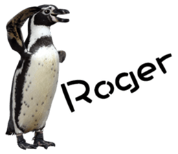 Penguin's time sticker sticker #14094012