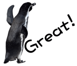 Penguin's time sticker sticker #14094014