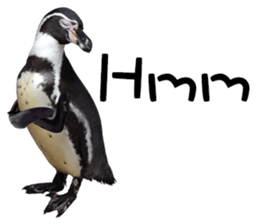 Penguin's time sticker sticker #14094016