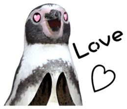 Penguin's time sticker sticker #14094017