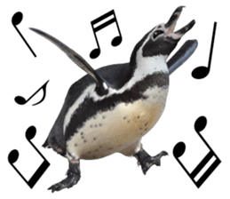 Penguin's time sticker sticker #14094019